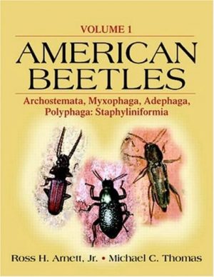 American Beetles: Volume 1:  Archostemata, Myxophaga, Adephaga, Polyphaga: Staphyliniformia