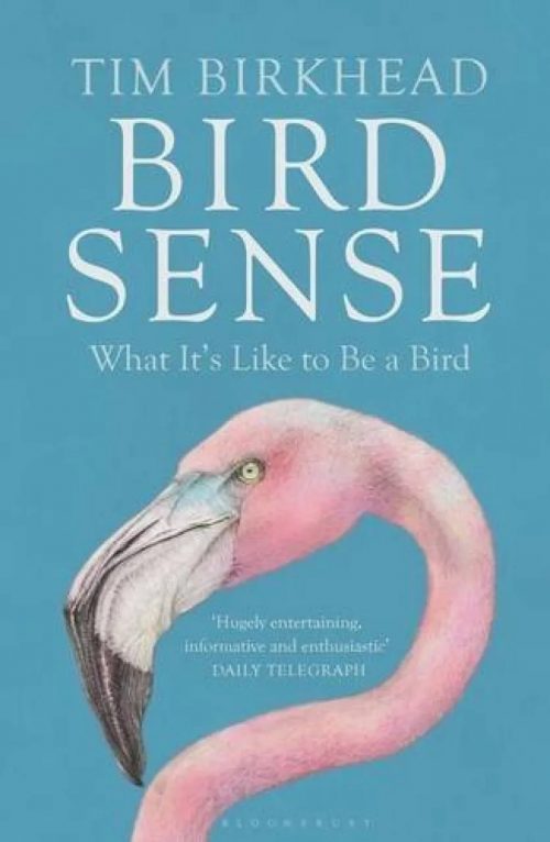 Bird Sense: What it's Like to be a Bird