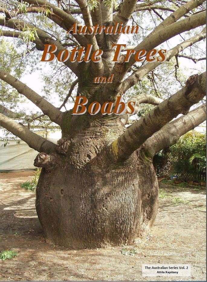 Australian Bottle Trees and Boabs Nokomis
