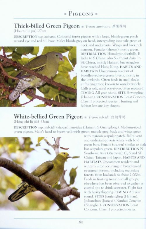 A Naturalist's Guide to the Birds of China: Southeast China, Including Shanghai - Image 4