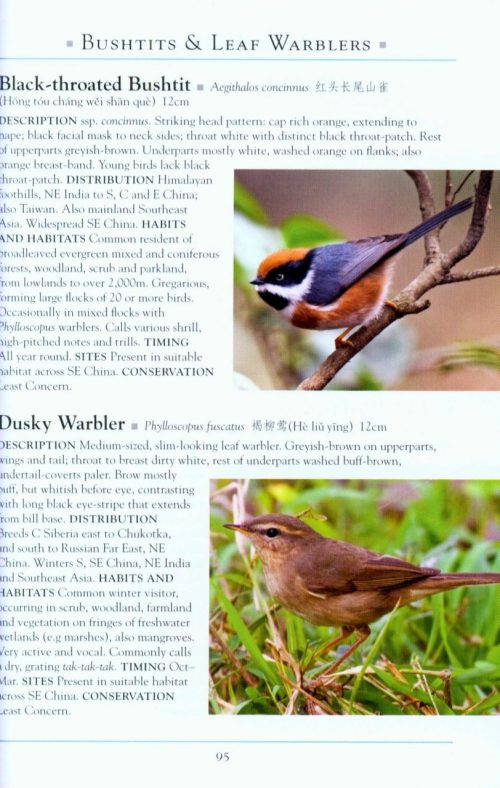 A Naturalist's Guide to the Birds of China: Southeast China, Including Shanghai - Image 3