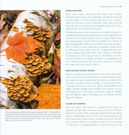 Close Up Photography in Nature - Image 2