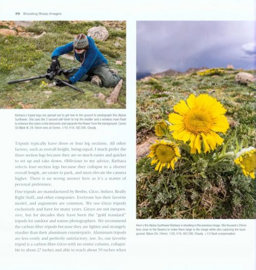 Close Up Photography in Nature - Image 3