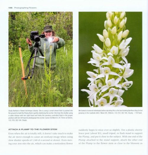 Close Up Photography in Nature - Image 5