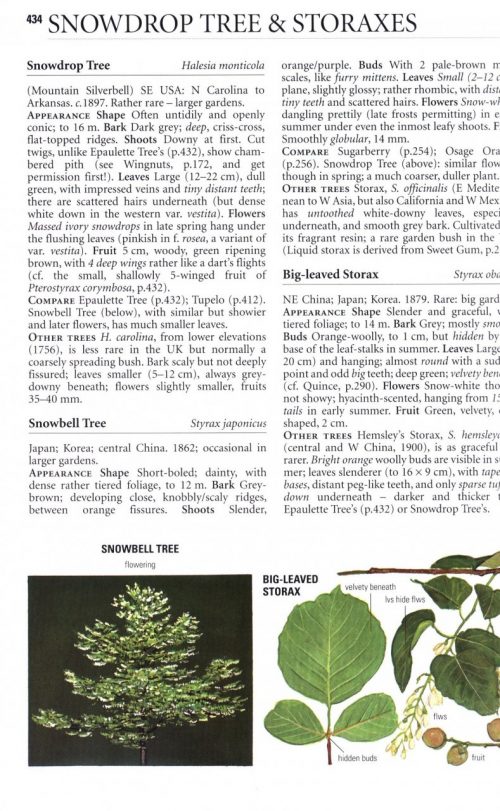 Collins Tree Guide: The Most Complete Field Guide to the Trees of Britain and Europe - Image 4