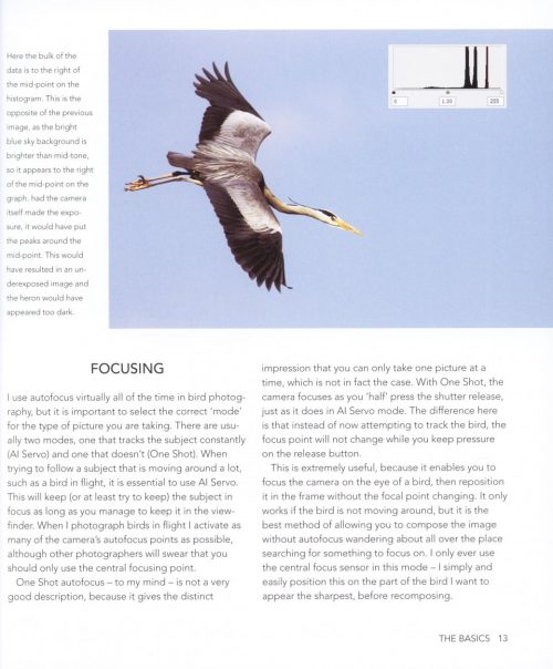 Creative Bird Photography - Image 3