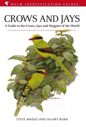Crows and Jays: A Guide to the Crows, Jays and Magpies of the World (Helm Identification Guide)
