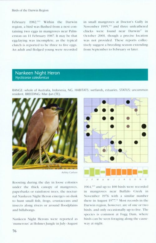 Birds of the Darwin Region - Image 2