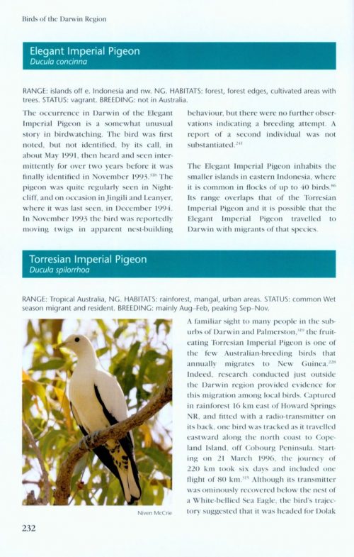 Birds of the Darwin Region - Image 4