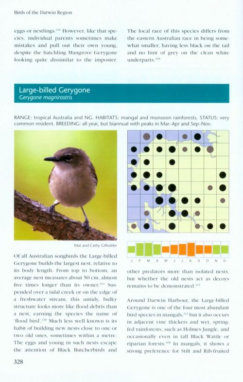 Birds of the Darwin Region - Image 5