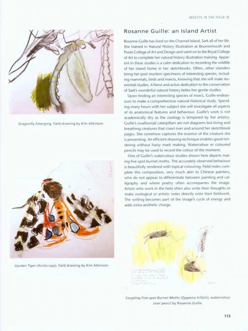Drawing and Painting Insects - Image 5