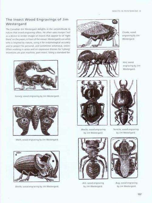 Drawing and Painting Insects - Image 6