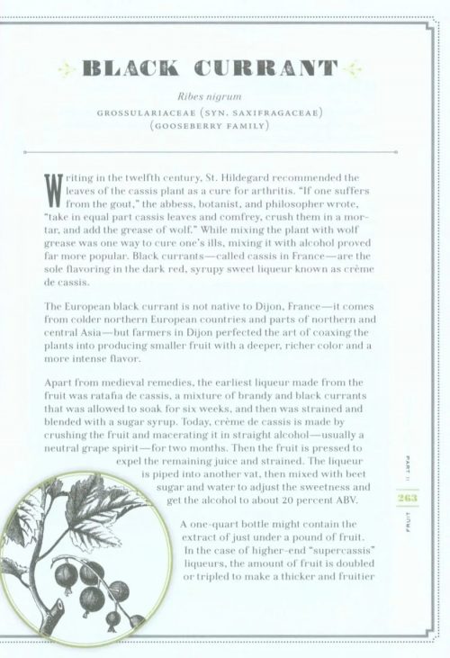 The Drunken Botanist: The Plants that Create the World's Great Drinks - Image 4