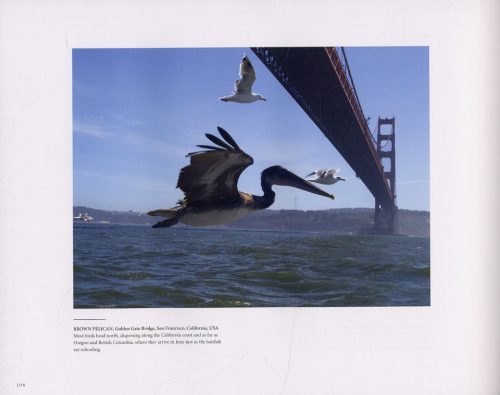 Earthflight: Breathtaking Photographs From a Bird's-Eye View of the World - Image 3