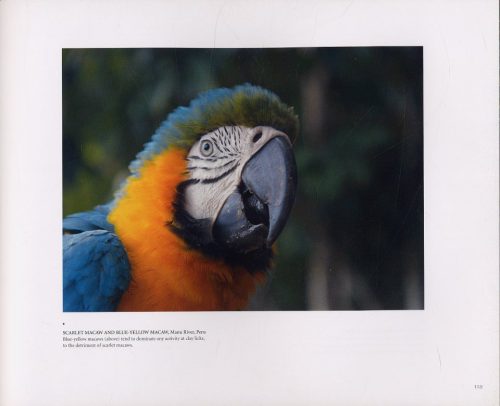 Earthflight: Breathtaking Photographs From a Bird's-Eye View of the World - Image 5