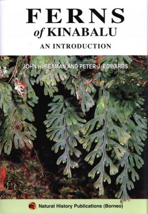Ferns of Kinabalu: An Introduction