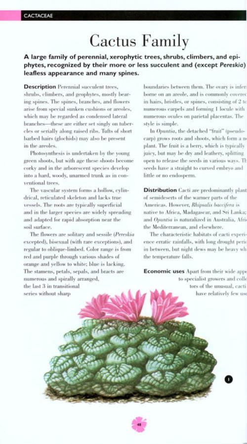 Flowering Plants: A Concise Pictorial Guide - Image 3