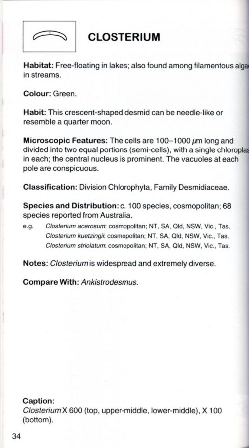 Freshwater Algae in Australia: A Guide to Conspicuous Genera (Second Edition) - Image 3