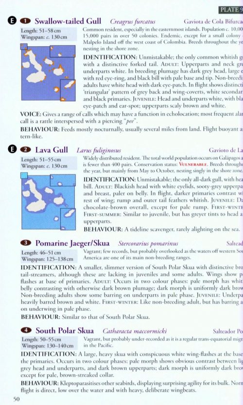 Birds, Mammals and Reptiles of the Galápagos Islands (Second Edition) - Image 3