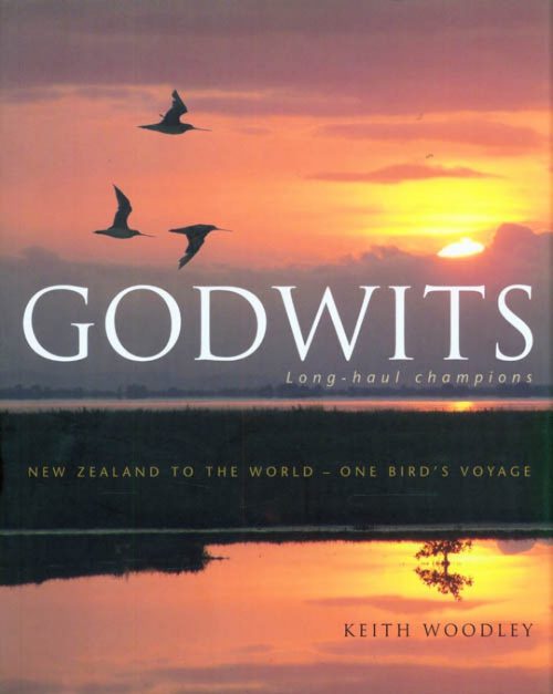 Godwits: Long-Haul Champions
