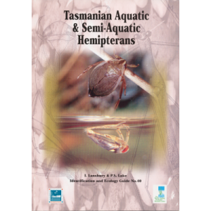 Tasmanian Aquatic and Semi-aquatic Hemipterans