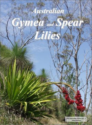 Australian Gymea and Spear Lilies