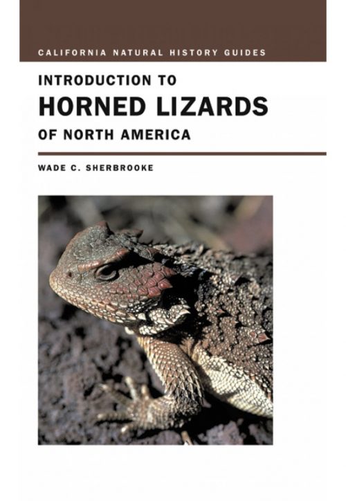 Introduction to Horned Lizards of North America