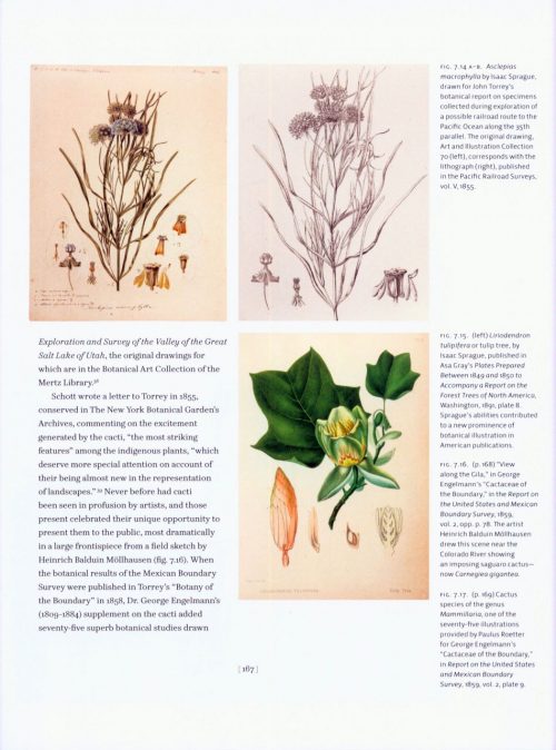 Flora Illustrata: Great Works from the LuEsther T. Mertz Library of the New York Botanical Garden - Image 5