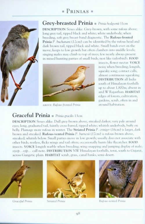 A Naturalist's Guide to the Birds of India: Pakistan, Nepal, Bhutan and Sri Lanka - Image 4