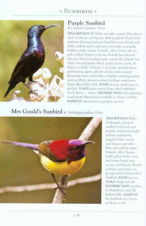 A Naturalist's Guide to the Birds of India: Pakistan, Nepal, Bhutan and Sri Lanka - Image 3