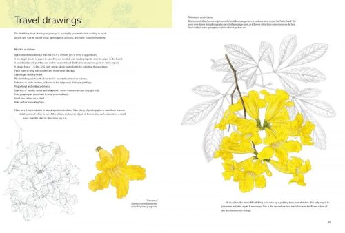 The Kew Book of Botanical Illustration - Image 4