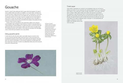 The Kew Book of Botanical Illustration - Image 3