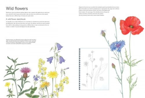 The Kew Book of Botanical Illustration - Image 2