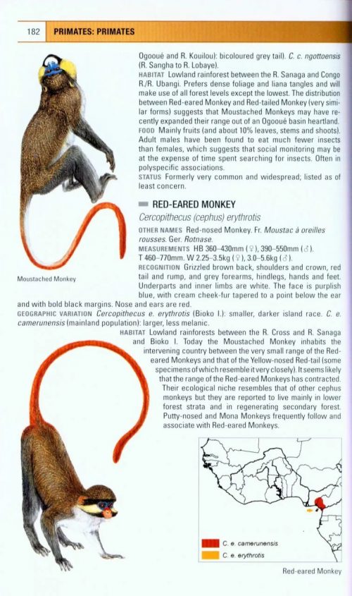 The Kingdon Field Guide to African Mammals (Second Edition) - Image 6