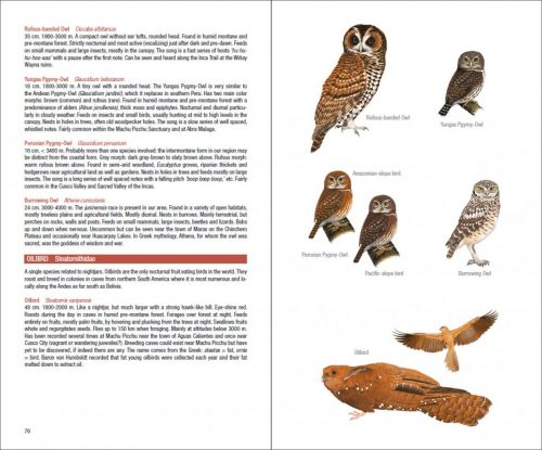 Field Guide to the Birds of Machu Picchu and the Cusco Region, Peru:  Includes a Bird Finding Guide to the Area - Image 3