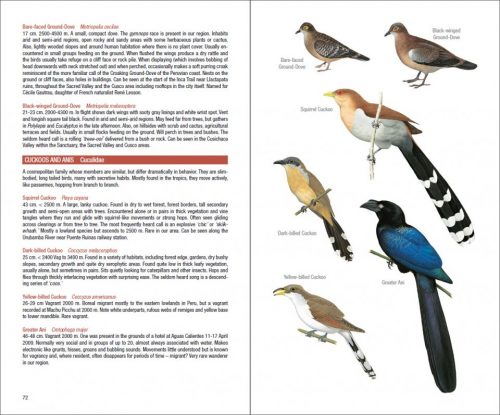 Field Guide to the Birds of Machu Picchu and the Cusco Region, Peru:  Includes a Bird Finding Guide to the Area - Image 6