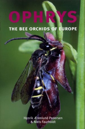 Ophrys: the Bee Orchids of Europe