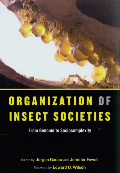 Organization of Insect Societies: From Genome to Sociocomplexity