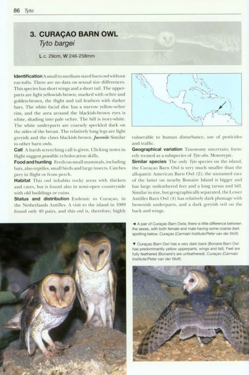 Owls of the World: A Photographic Guide (Second Edition) (Helm Photographic Guide) - Image 4