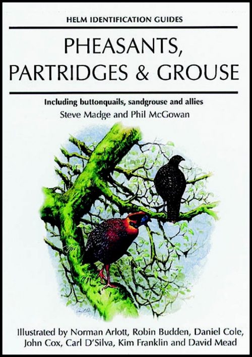 Pheasants, Partridges and Grouse:  Including Buttonquails, Sandgrouse and Allies