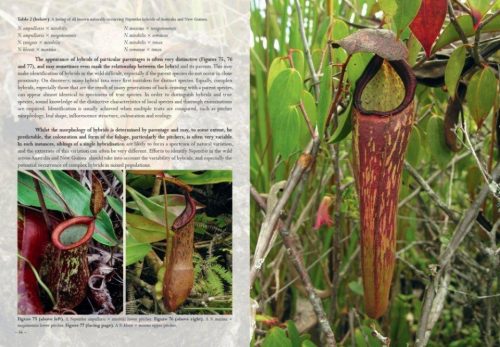 Field Guide to the Pitcher Plants of Australia and New Guinea - Image 8