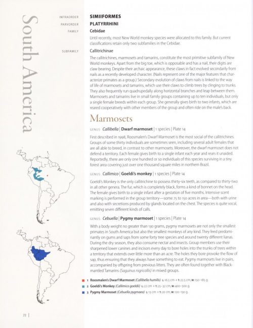 Primates of the World: An Illustrated Guide - Image 4