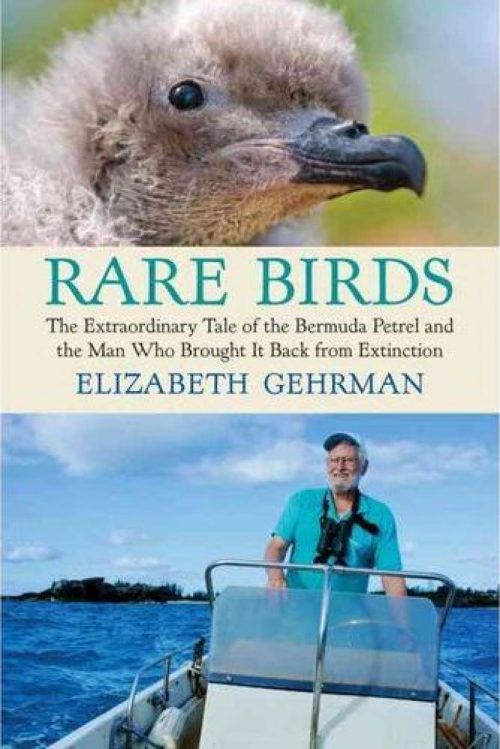 Rare Birds: The Extraordinary Tale of the Bermuda Petrel and The Man who Brought it Back From Extinction