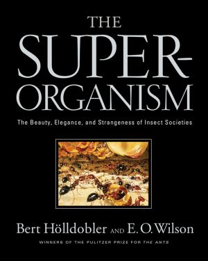 The Superorganism: The Beauty, Elegance and Strangeness of Insect Societies