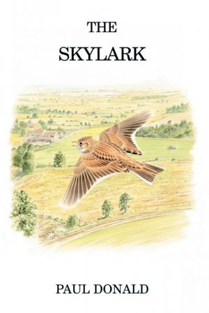 The Skylark