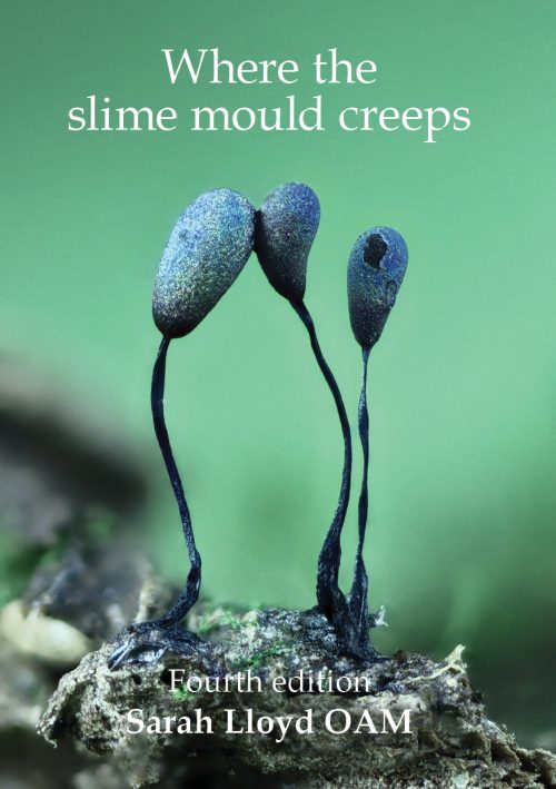 Where the Slime Mould Creeps: The Fascinating World of Myxomycetes (Fourth Edition)