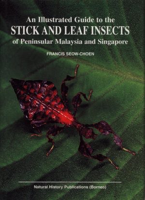 An Illustrated Guide to the Stick and Leaf Insects of Peninsular Malaysia and Singapore