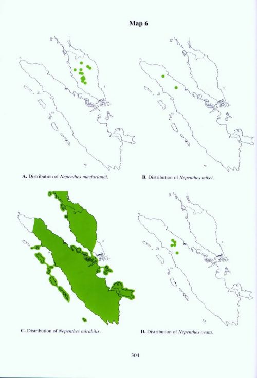 Nepenthes of Sumatra and Peninsular Malaysia - Image 6