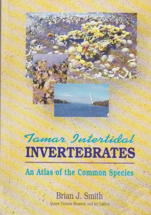 Tamar Intertidal Invertebrates: An Atlas of the Common Species
