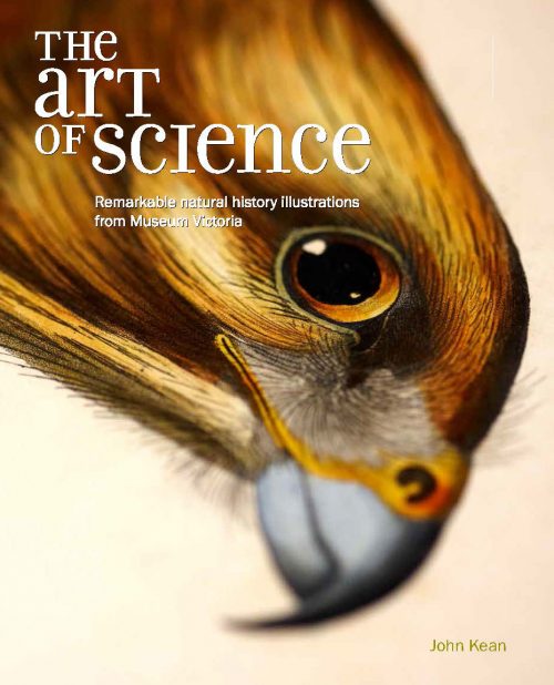 The Art of Science: Remarkable Natural History Illustrations from Museum Victoria